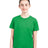 Next Level Youth Cotton T-Shirt - Next Level 3310 Kelly Green XS Short Sleeve T-Shirts