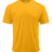 Paragon Youth Islander Performance T-Shirt - Paragon 208Y Gold S Short Sleeve T-Shirts