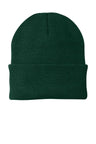 Port & Co ™ Knit Cap. CP90 - Port & Company CP90 Athletic Green OSFA Beanies