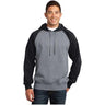 Raglan Colorblock Pullover Hooded Sweatshirt Black/Vintage Heather X - Small Sweatshirts