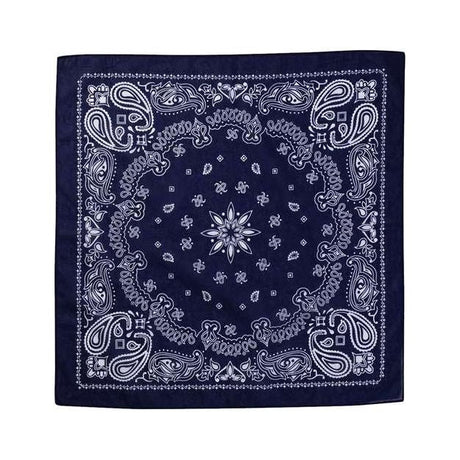 Valucap ValuMask Bandana - Valucap VC21 Navy Paisley One Size Hats