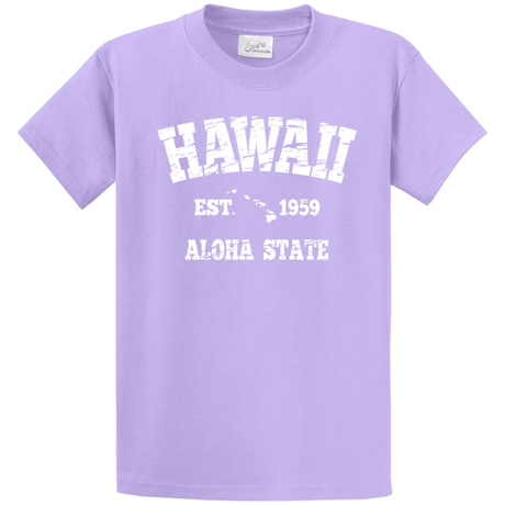 Vintage Hawaiian Islands Tee's in 42 Colors and Regular, Big and Tall Sizes 1959 Aquatic Blue / White logo Small Short Sleeve T-Shirts