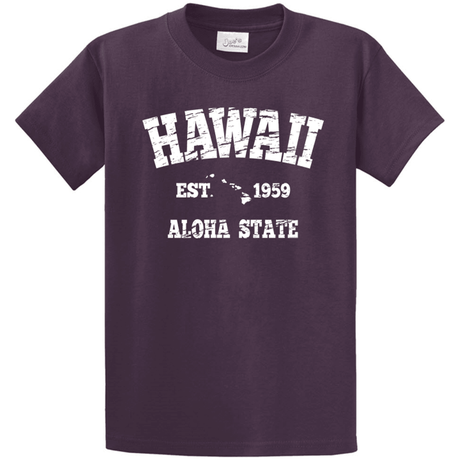 Vintage Hawaiian Islands Tee's in 42 Colors and Regular, Big and Tall Sizes 1959 Aquatic Blue / White logo Small Short Sleeve T-Shirts