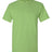 Wholesale Men’s 6oz Ultra Cotton Heavyweight T-Shirt Kiwi Small Short Sleeve T-Shirts