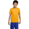 Youth Athletic All Sport Training Tee Shirts in 18 Colors Youth X - Small Gold Short Sleeve T-Shirts