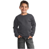 Youth Crewneck Sweatshirt Charcoal Youth X - Small Crewneck Sweatshirts