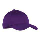 Youth Six - Panel Twill Cap Purple Hats